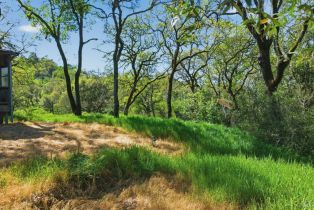 Single Family Residence,  Wood Valley road, Sonoma, CA 95476 - 23