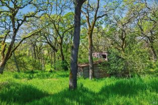 Single Family Residence,  Wood Valley road, Sonoma, CA 95476 - 25