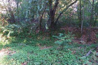 Residential Lot,  Westside road, Russian River, CA 95436 - 5