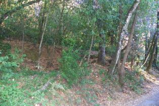 Residential Lot,  Westside road, Russian River, CA 95436 - 6