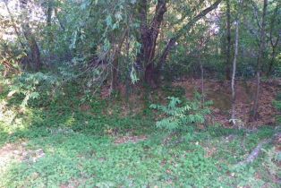 Residential Lot,  Westside road, Russian River, CA 95436 - 4