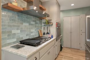 Single Family Residence, Mission drive, Sonoma, CA 95476 - 13