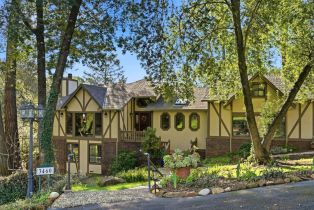 Single Family Residence,  Happy Valley avenue, Santa Rosa, CA 95404 - 3