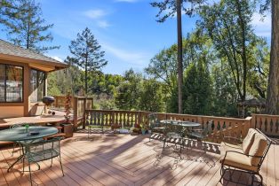 Single Family Residence,  Happy Valley avenue, Santa Rosa, CA 95404 - 41