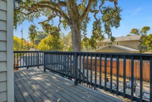 Single Family Residence,  Brown street, Napa, CA 94559 - 46