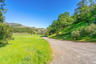 Single Family Residence,  Silverado trail, Napa, CA 94558 - 44