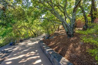 Single Family Residence,  Silverado trail, Napa, CA 94558 - 38