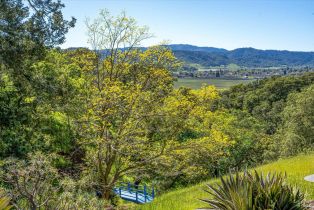 Single Family Residence,  Silverado trail, Napa, CA 94558 - 34