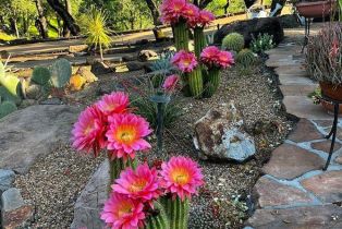 Single Family Residence,  Silverado trail, Napa, CA 94558 - 43