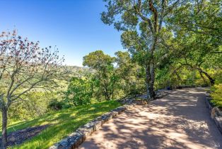 Single Family Residence,  Silverado trail, Napa, CA 94558 - 36