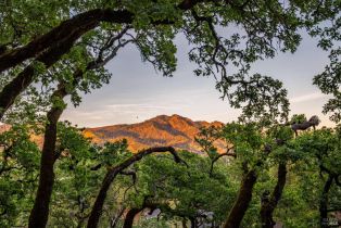 Single Family Residence, Wild Oak drive, Santa Rosa, CA 95409 - 38