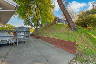 Single Family Residence,  Steele Canyon road, Napa, CA 94558 - 33