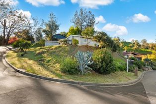 Single Family Residence,  Steele Canyon road, Napa, CA 94558 - 7