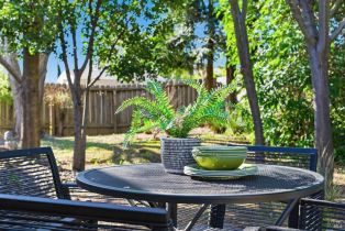 Single Family Residence,  Pueblo avenue, Napa, CA 94558 - 34