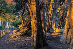 Single Family Residence,  Leeward road, Sea Ranch, CA 95497 - 68