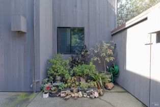 Single Family Residence,  Leeward road, Sea Ranch, CA 95497 - 40