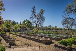 Single Family Residence,  Hedgeside avenue, Napa, CA 94558 - 20