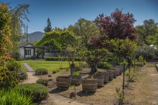 Single Family Residence,  Hedgeside avenue, Napa, CA 94558 - 13