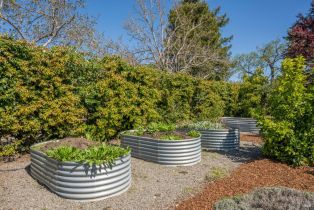 Single Family Residence,  Hedgeside avenue, Napa, CA 94558 - 19