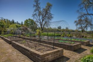 Single Family Residence,  Hedgeside avenue, Napa, CA 94558 - 18