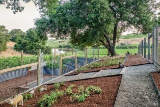 Single Family Residence,  Soscol Creek road, Napa, CA 94558 - 53