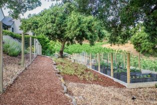 Single Family Residence,  Soscol Creek road, Napa, CA 94558 - 52