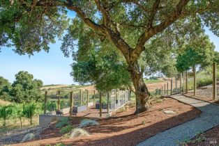 Single Family Residence,  Soscol Creek road, Napa, CA 94558 - 55