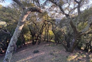 Single Family Residence,  Mcdonough Heights road, Healdsburg, CA 95448 - 3