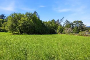 Single Family Residence,  Burnside road, Sebastopol, CA 95472 - 57