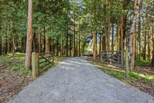 Single Family Residence,  Burnside road, Sebastopol, CA 95472 - 56