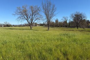 Residential Lot,  Oak Meadow drive, Santa Rosa, CA 95401 - 6