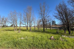 Residential Lot,  Oak Meadow drive, Santa Rosa, CA 95401 - 5