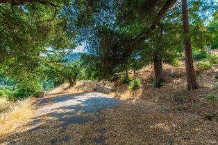 Residential Acreage,  Wall road, Napa, CA 94558 - 19