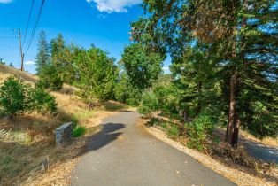 Residential Acreage,  Wall road, Napa, CA 94558 - 16