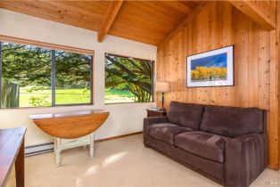 Single Family Residence,  Deer trail, Sea Ranch, CA 95497 - 15