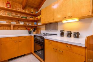 Single Family Residence,  Deer trail, Sea Ranch, CA 95497 - 20