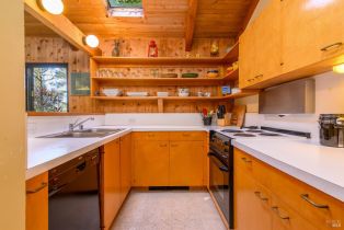 Single Family Residence,  Deer trail, Sea Ranch, CA 95497 - 19