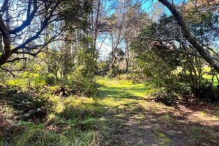 Single Family Residence,  Deer trail, Sea Ranch, CA 95497 - 32