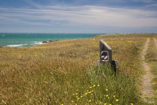 Single Family Residence,  Deer trail, Sea Ranch, CA 95497 - 38