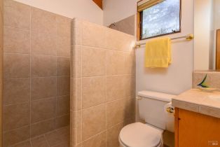 Single Family Residence,  Deer trail, Sea Ranch, CA 95497 - 31