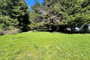 Single Family Residence,  Deer trail, Sea Ranch, CA 95497 - 35