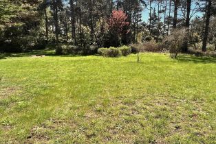 Single Family Residence,  Deer trail, Sea Ranch, CA 95497 - 34