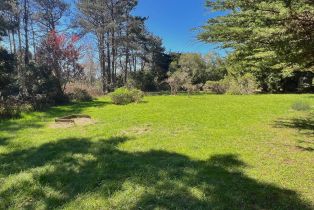 Single Family Residence,  Deer trail, Sea Ranch, CA 95497 - 12