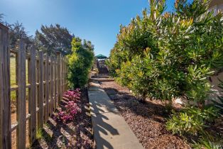 Single Family Residence, Sierra Grande drive, Bodega Bay, CA 94923 - 59