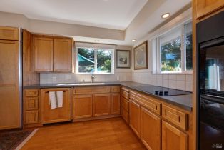 Single Family Residence, Sierra Grande drive, Bodega Bay, CA 94923 - 33