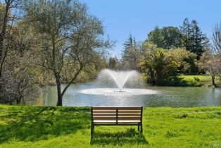 Single Family Residence,  Mission drive, Sonoma, CA 95476 - 18