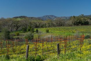 Single Family Residence,  Mission drive, Sonoma, CA 95476 - 48