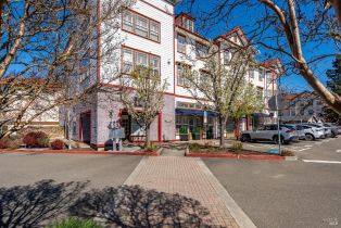 Condominium, Emily Rose circle, Windsor, CA 95492 - 64