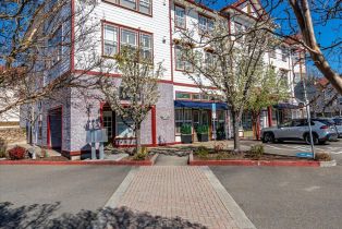 Condominium, Emily Rose circle, Windsor, CA 95492 - 65