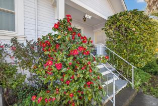 Single Family Residence,  Broadway street, Petaluma, CA 94952 - 5